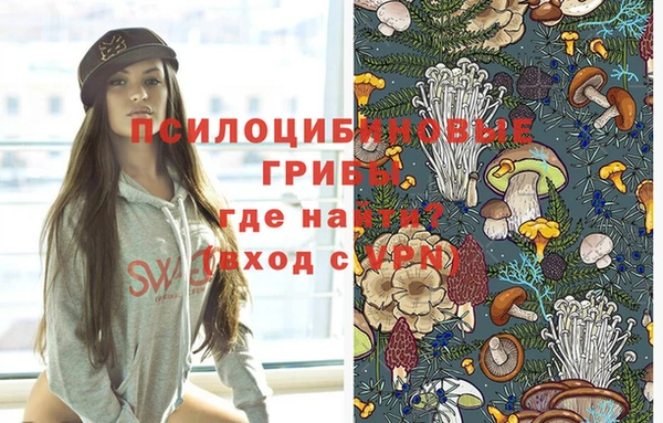 не бодяженный Армянск
