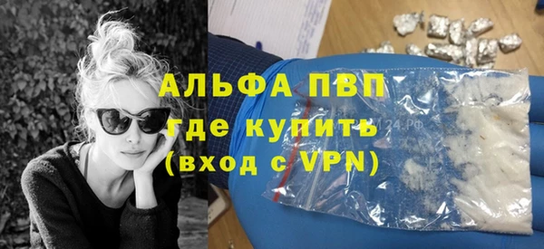 спайс Арсеньев