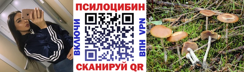 Псилоцибиновые грибы Psilocybine cubensis  что такое   Камбарка 